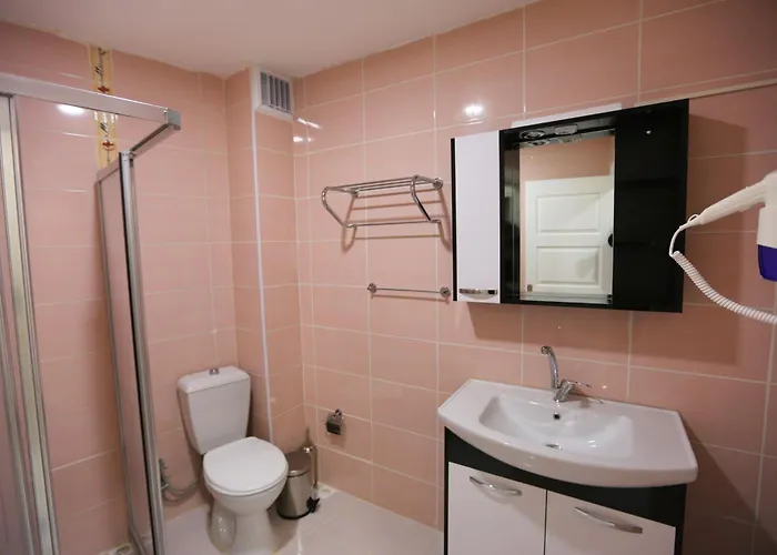 Family 3* Provincia di Istanbul