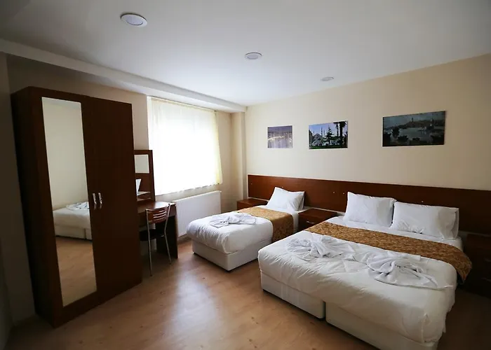 Family 3* Provincia di Istanbul